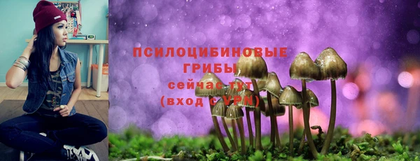 PSILOCYBIN Балабаново